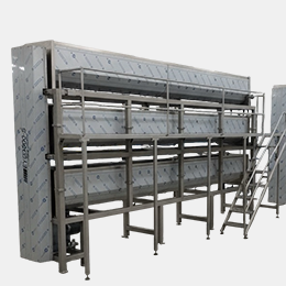 EYG3000-S MACHINE DE ROASAGE SESAME continue